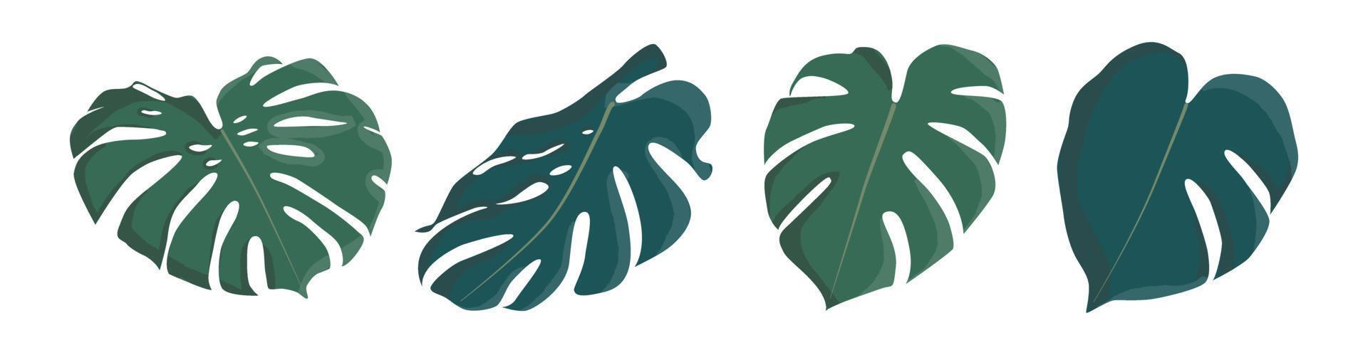 Set of green monstera leaves. Flat design stickers. Group of icons illustration isolated on white background vector
