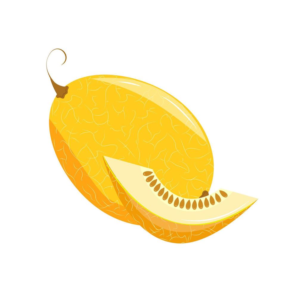 melón amarillo grande y un pedazo de él. ilustración vectorial de una fruta de verano aislada. vector