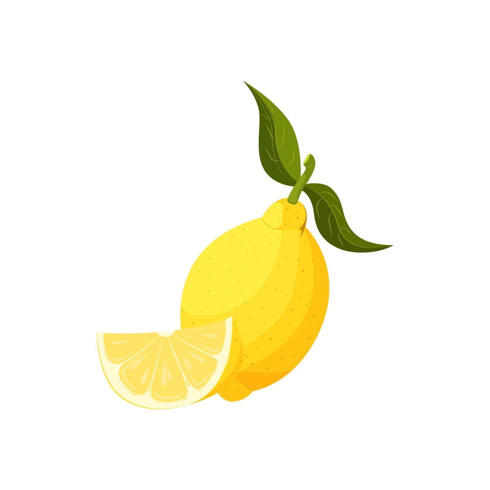 Vector illustration of an isolated whole lemon and its half. Yellow juicy fruit with shadows and highlights.