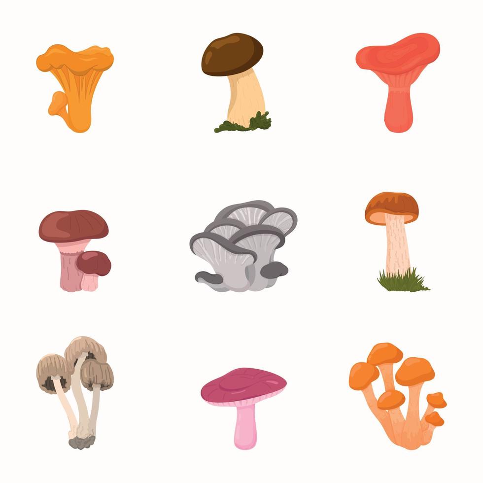 Raster mushroom illustration. Useful mushrooms. Icons  chanterelle, russule, stubby-stalk, oyster. vector
