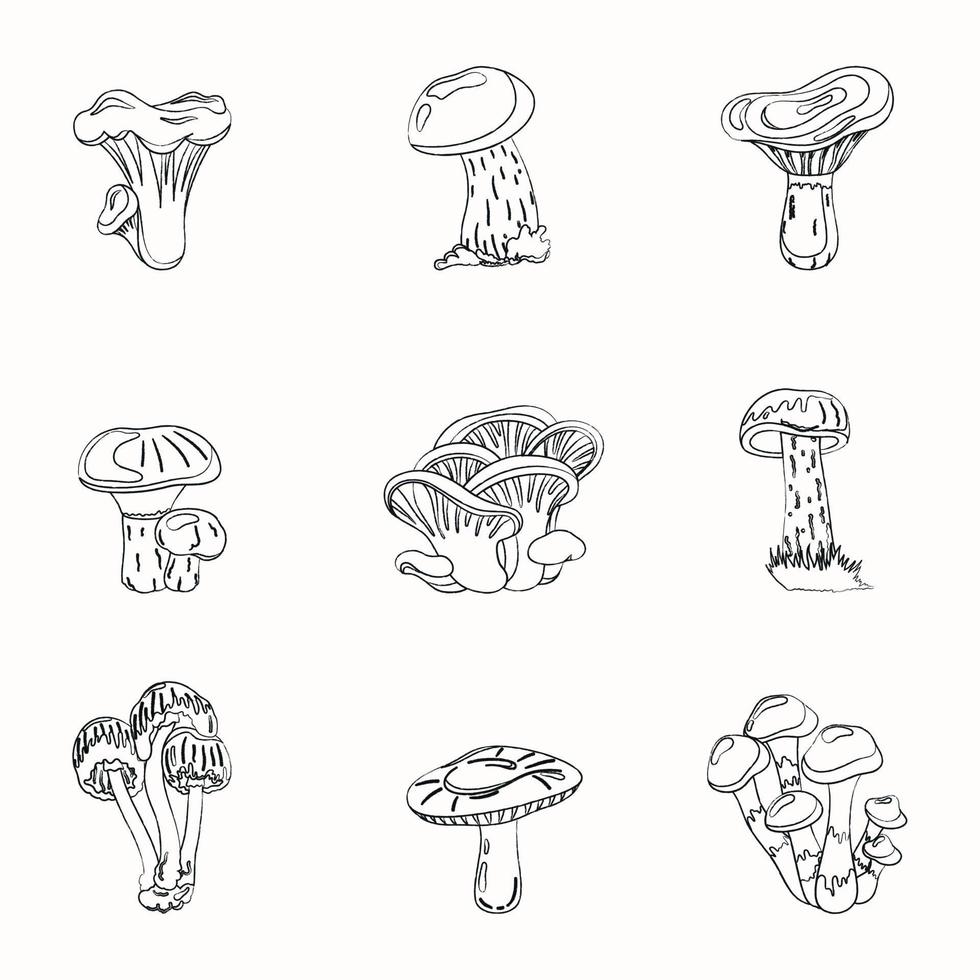 A set of different mushrooms. Vector illustration of fungi. Painting of voluminous fungus.