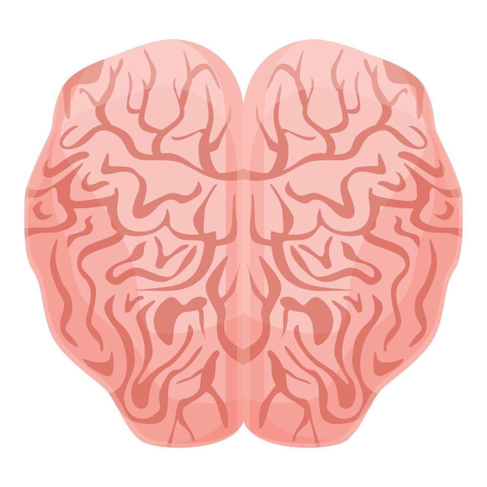 Human brain mind icon, cartoon style vector
