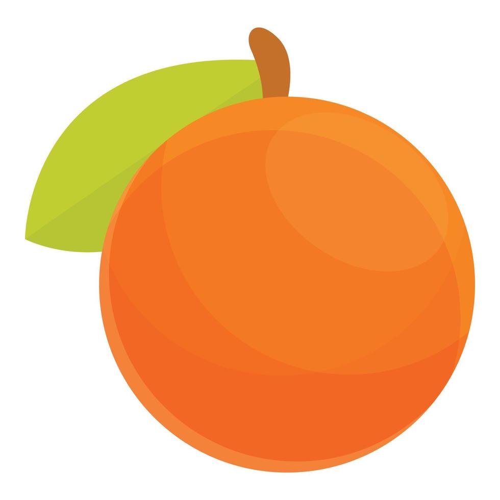 icono de vitamina de fruta exótica, estilo de dibujos animados vector