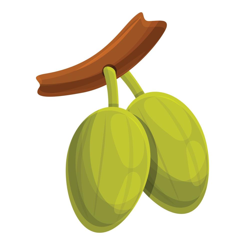 Cutted shea tree green nut icon, cartoon style vector
