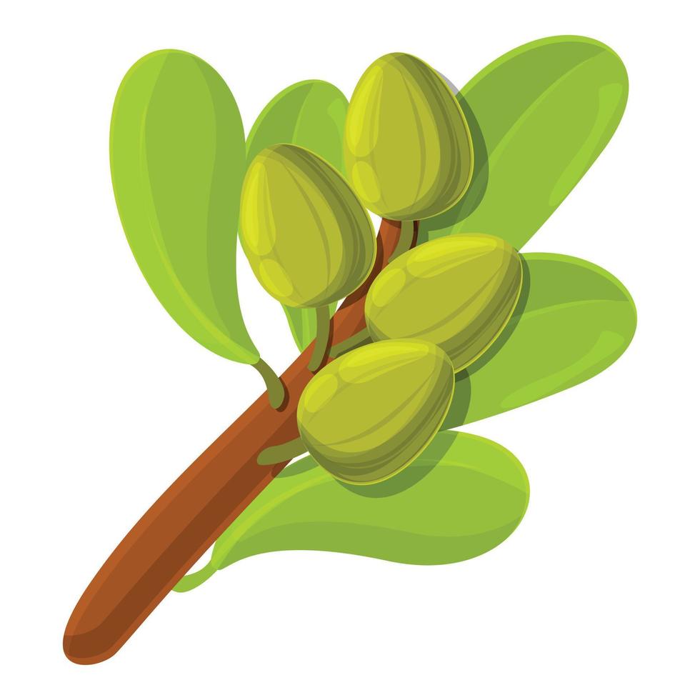 Shea tree branch icon, cartoon style vector