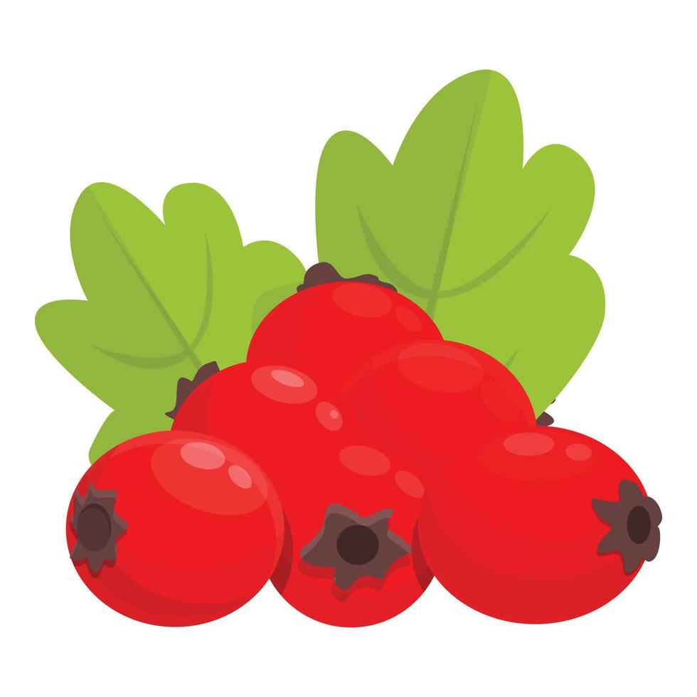 Forest hawthorn icon, cartoon style vector