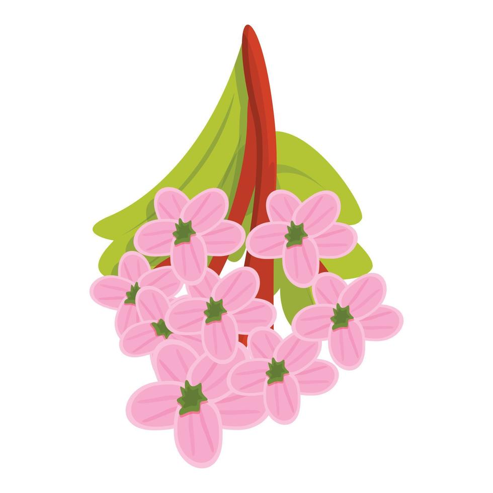 Spring hawthorn flower icon, cartoon style vector