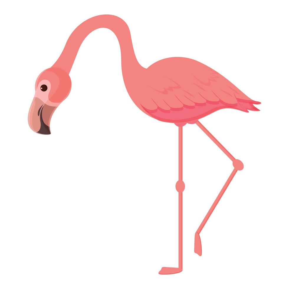 vector de dibujos animados de icono de flamenco exótico. lindo pájaro rosa