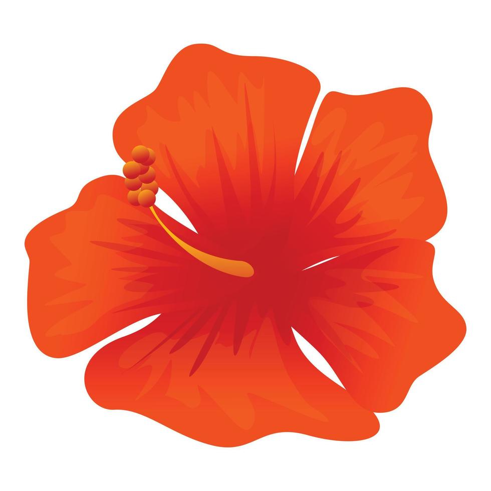 Tropical hibiscus icon, cartoon style vector