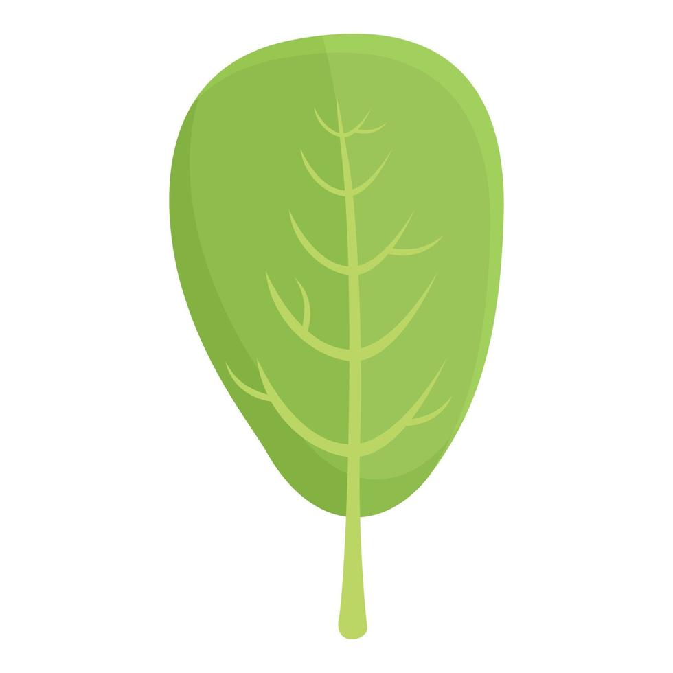 Green leaf lutein icon cartoon vector. Dietary food vector