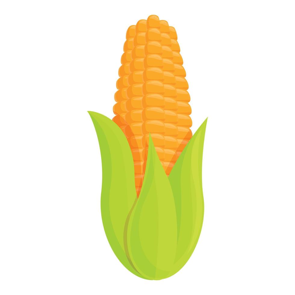 Corn icon, cartoon style vector