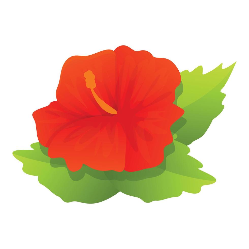 Blossom hibiscus icon, cartoon style vector