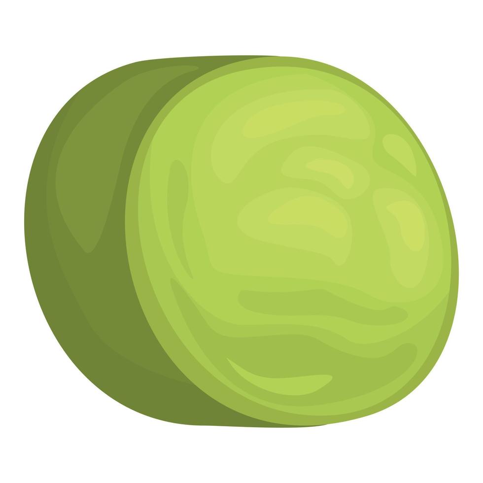 Spirulina roll icon cartoon vector. Alga plant vector