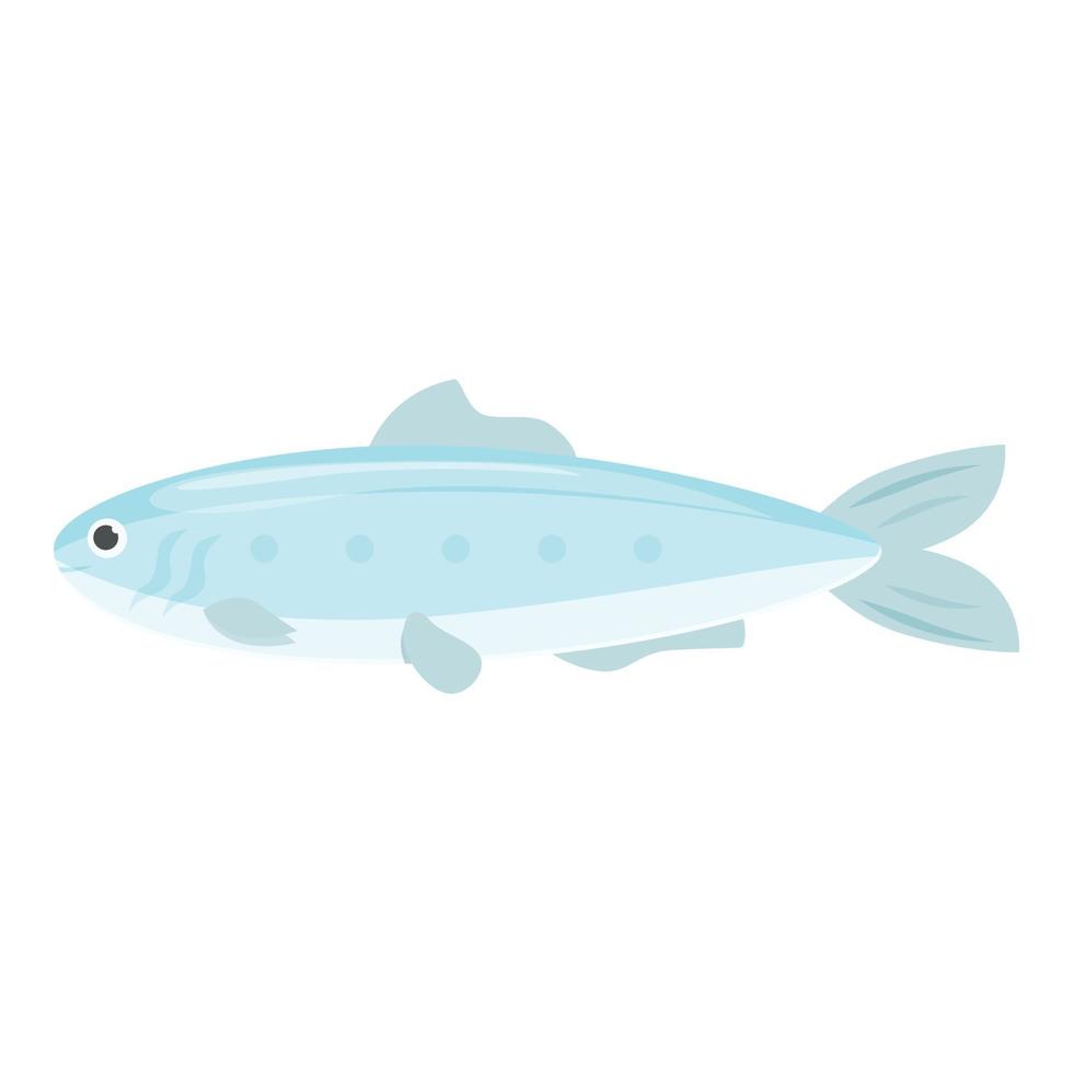 vector de dibujos animados de icono de sardina de comida. pescados y mariscos