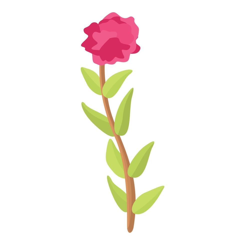 Flowering thyme icon, cartoon style vector
