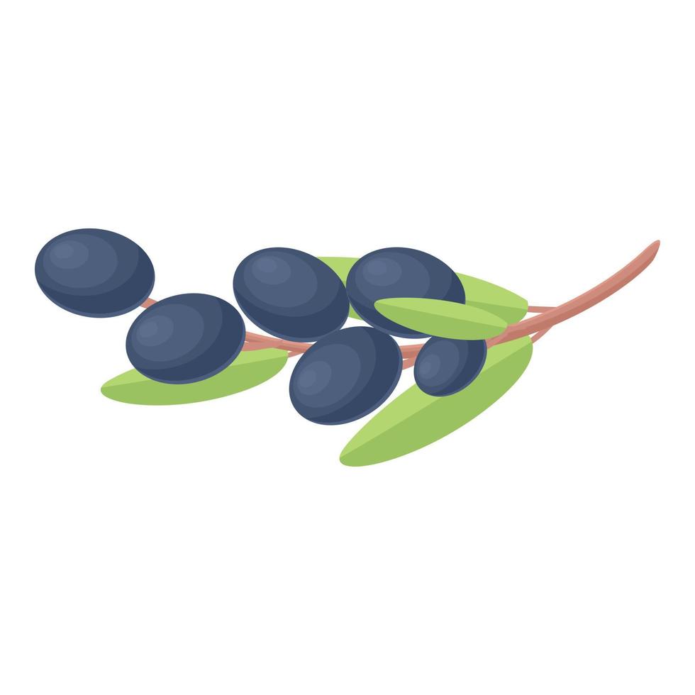 Black olives branch icon cartoon vector. Oil food vector