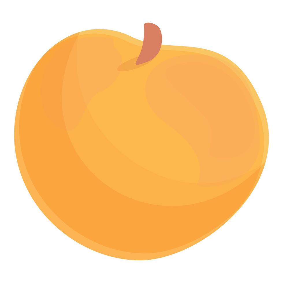 Armenia peach icon cartoon vector. Sevan travel vector