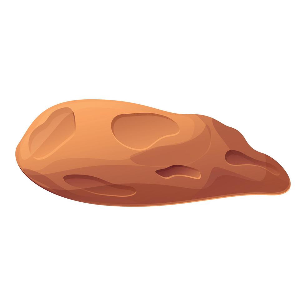 Asteroid boulder icon, cartoon style vector