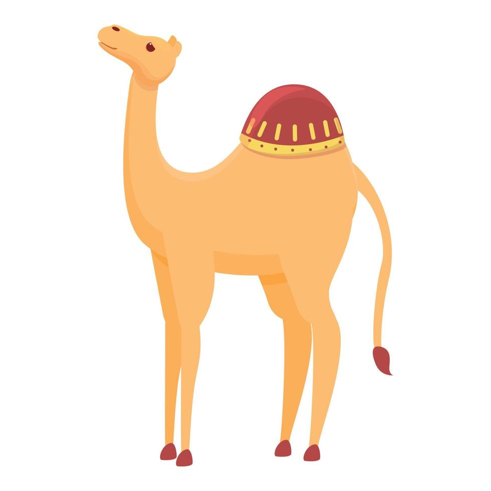 Dune camel icon, cartoon style vector