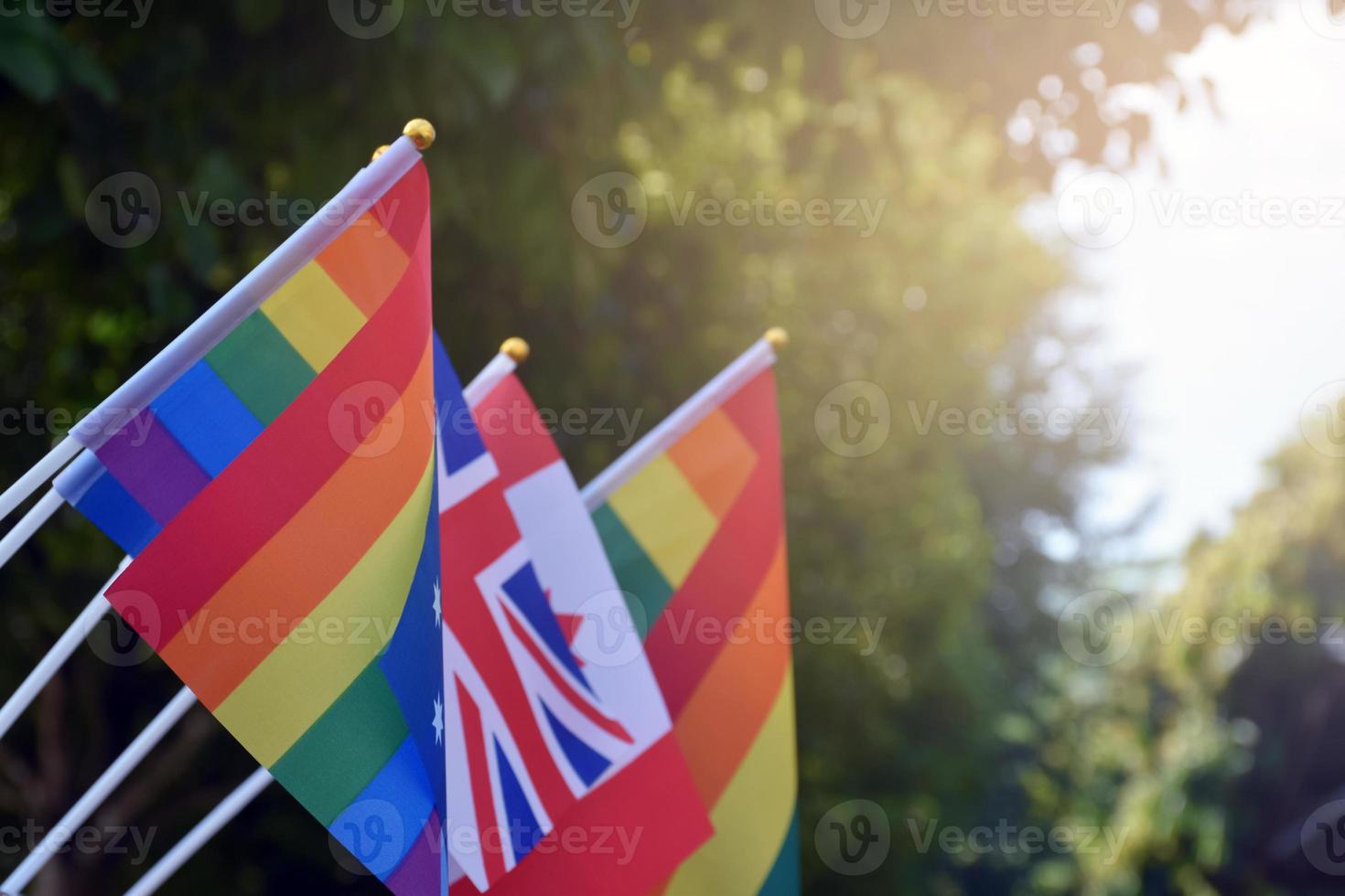 bandera del arco iris y banderas nacionales de los países europeos, enfoque suave y selectivo, concepto para la celebración lgbt y el respeto de la diversidad de género de los humanos en los países europeos de todo el mundo. foto