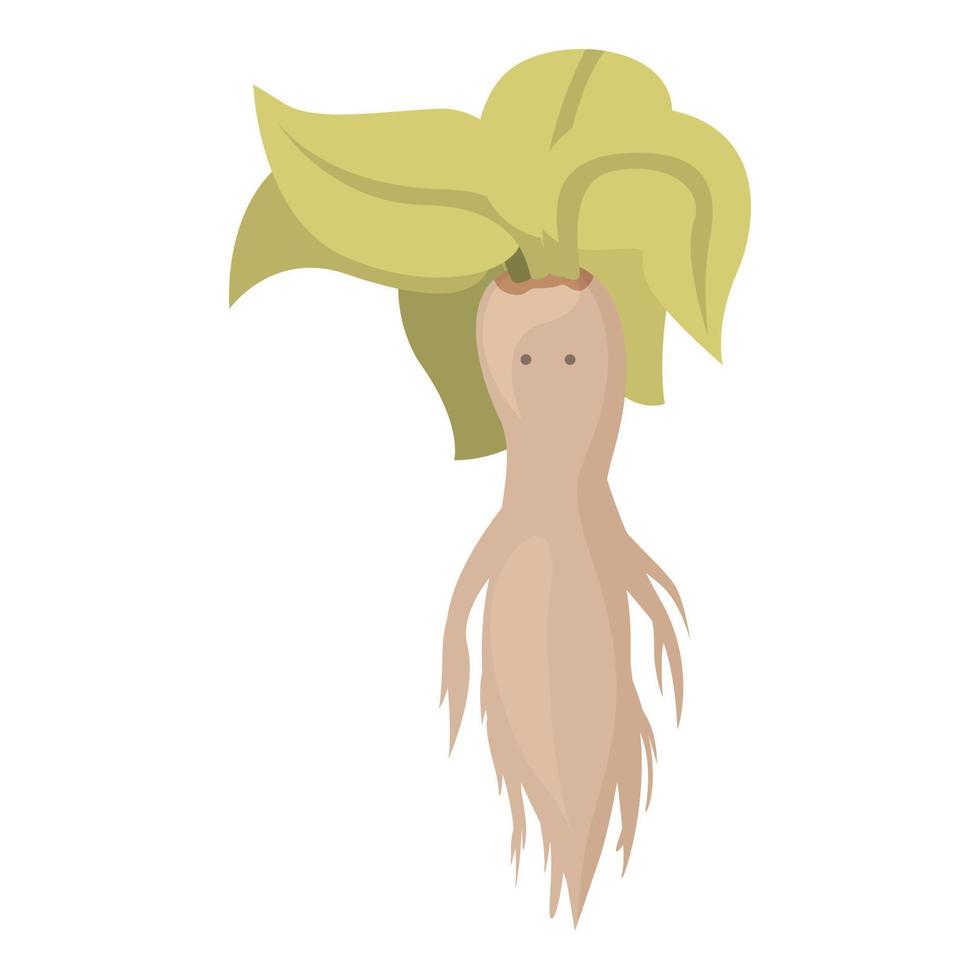 Chinese mandrake icon cartoon vector. Magic mandragora vector