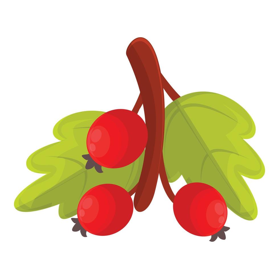 Nature hawthorn icon, cartoon style vector