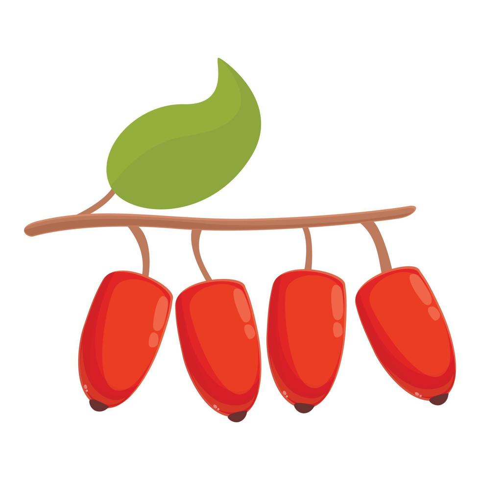 Leaf goji icon cartoon vector. Organic food vector