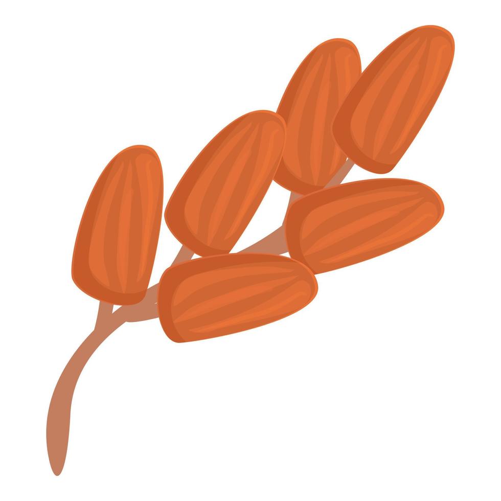 Branch food icon cartoon vector. Palm fruit vector
