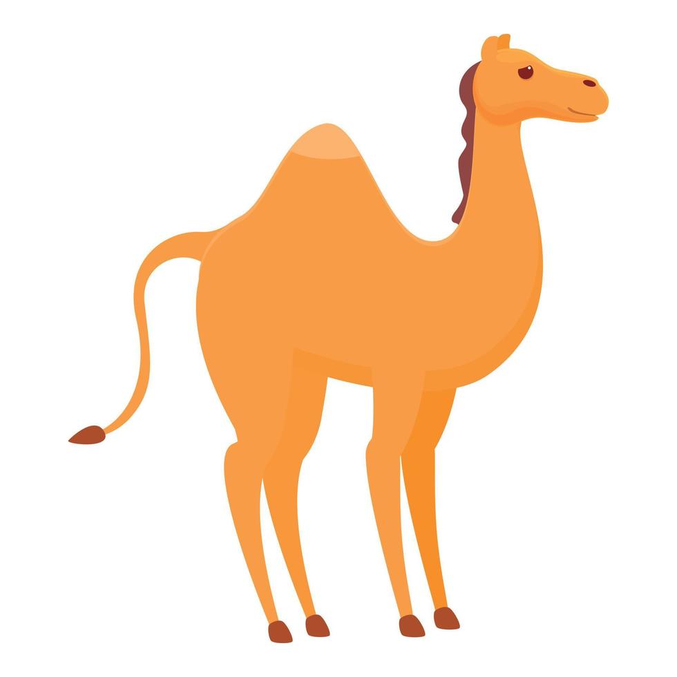 Funny camel icon, cartoon style vector