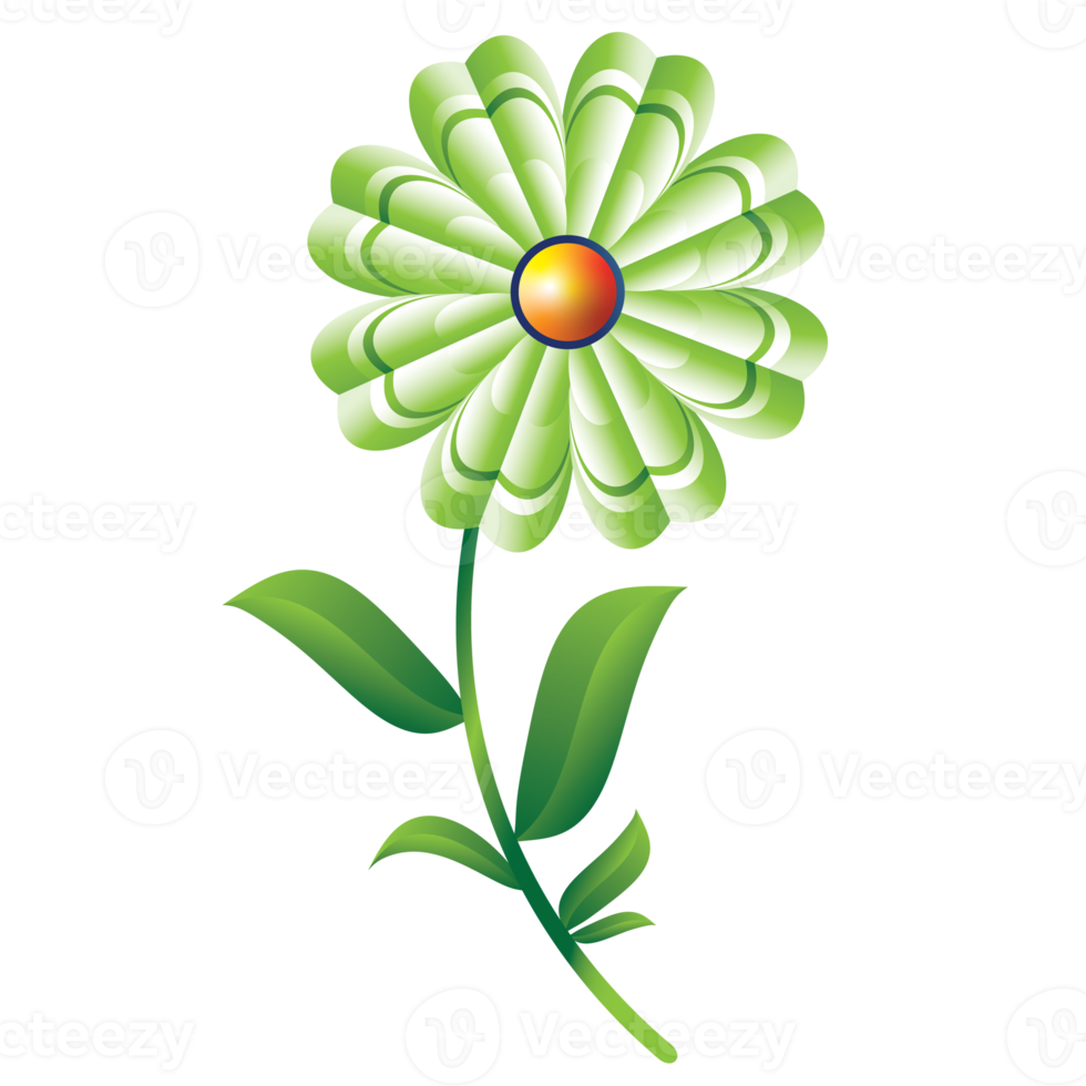 flower illustration design for decoration png