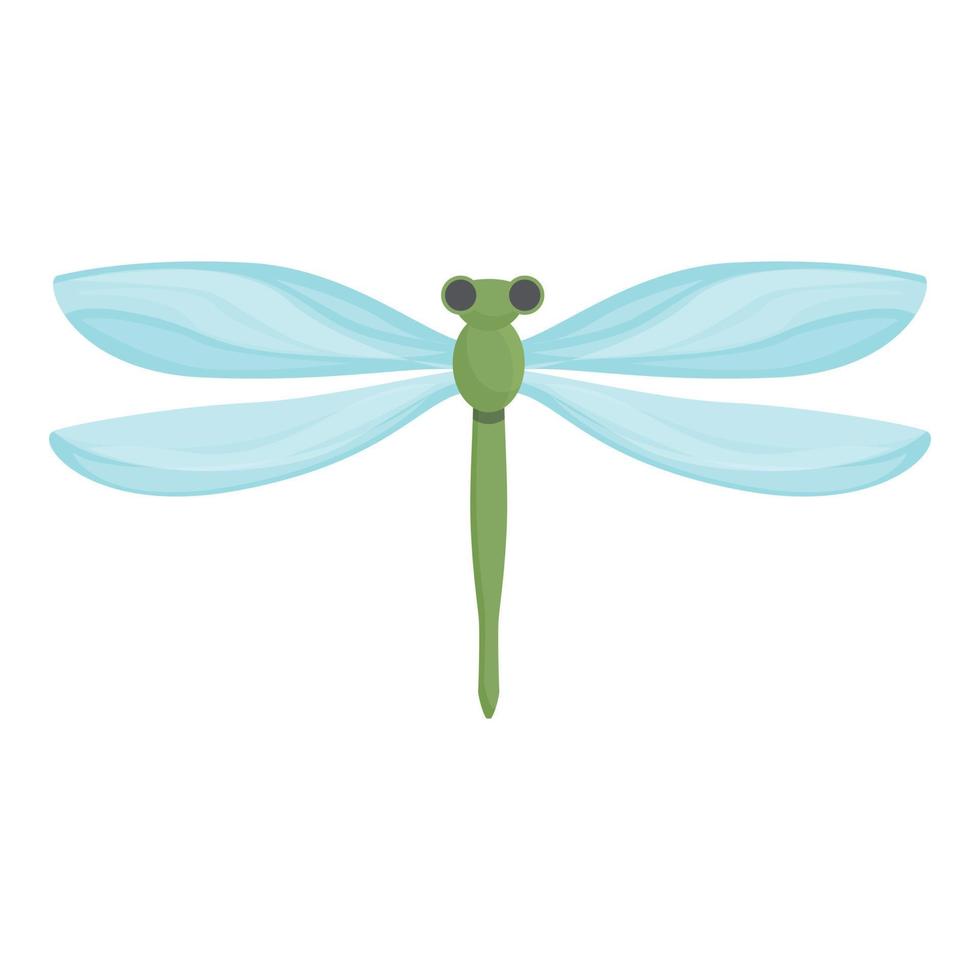 Lake dragonfly icon cartoon vector. Wing bug vector