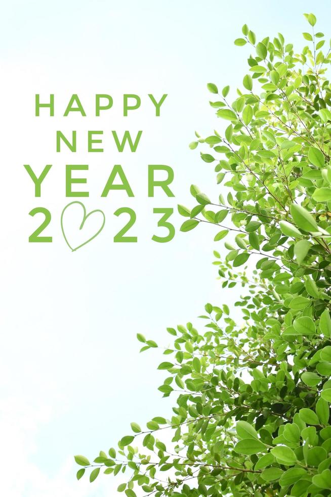 'HAPPY NEW YEAR 2023' in green color with ficus branches and leaves background, concept for greeting invitation card and happy new year 2023 concept. photo