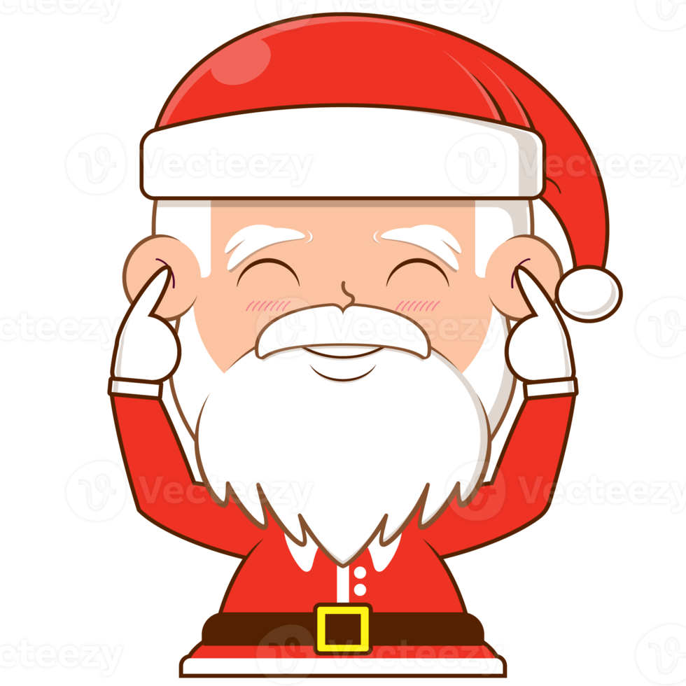 Santa Claus contento viso cartone animato carino png