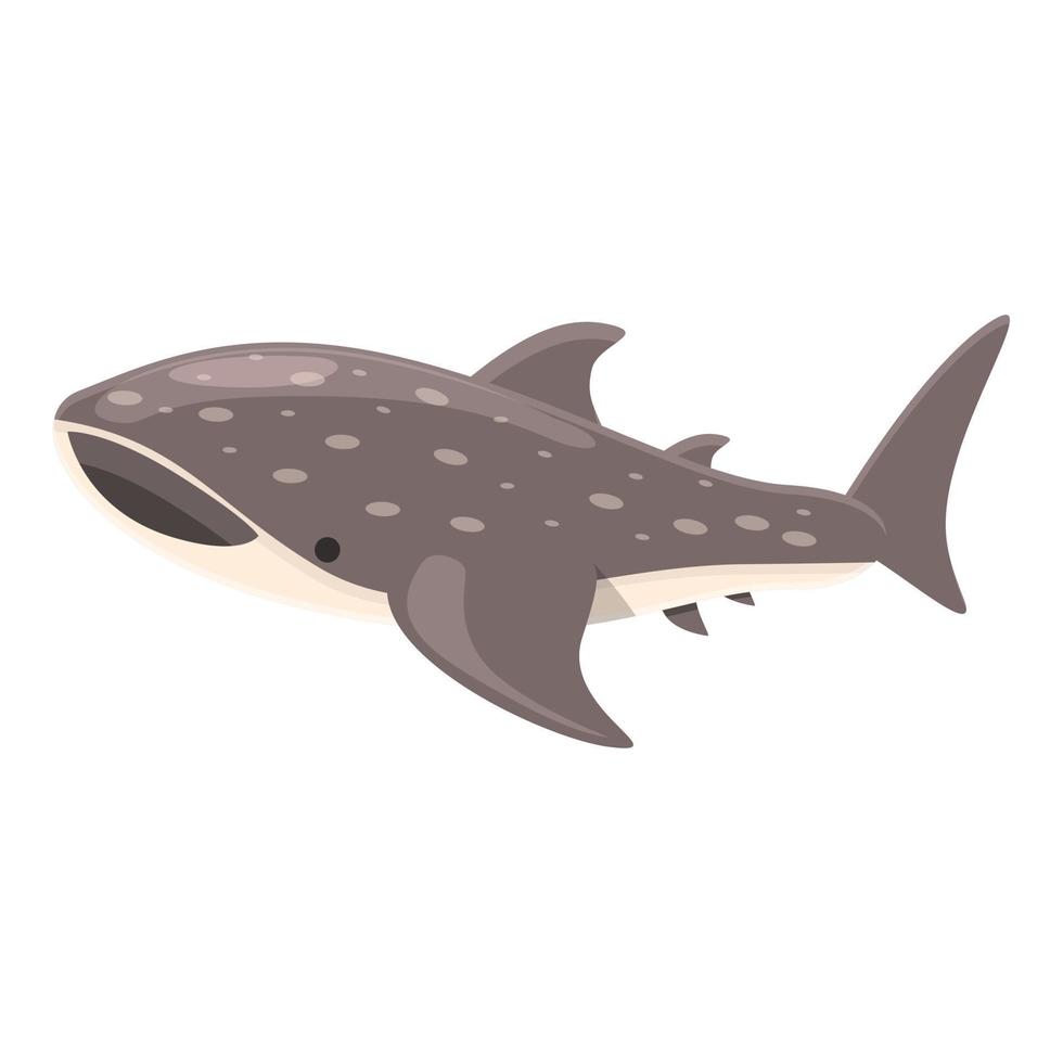 vector de dibujos animados de icono de tiburón ballena de buceo. pescado de mar