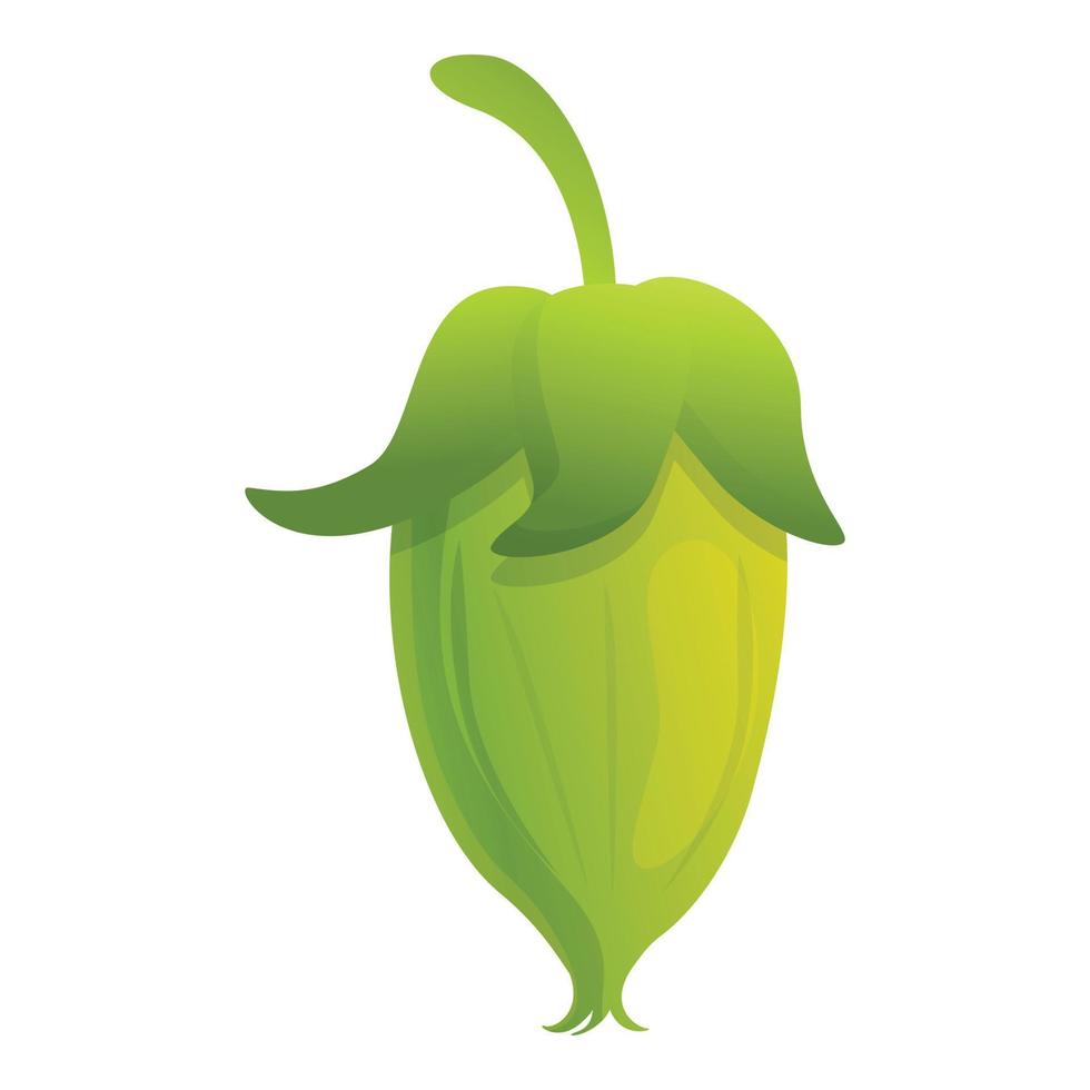 icono de jojoba de planta verde, estilo de dibujos animados vector