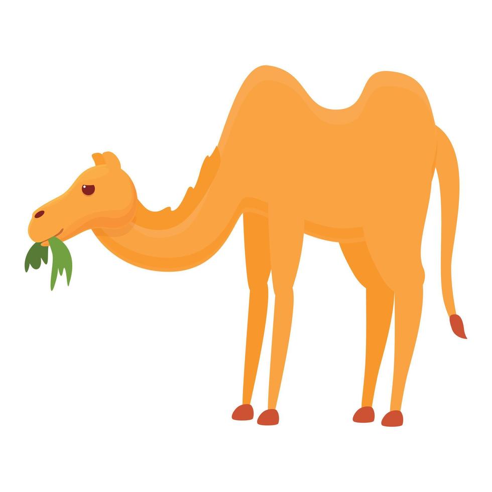 Eating grass camel icon, cartoon style vector