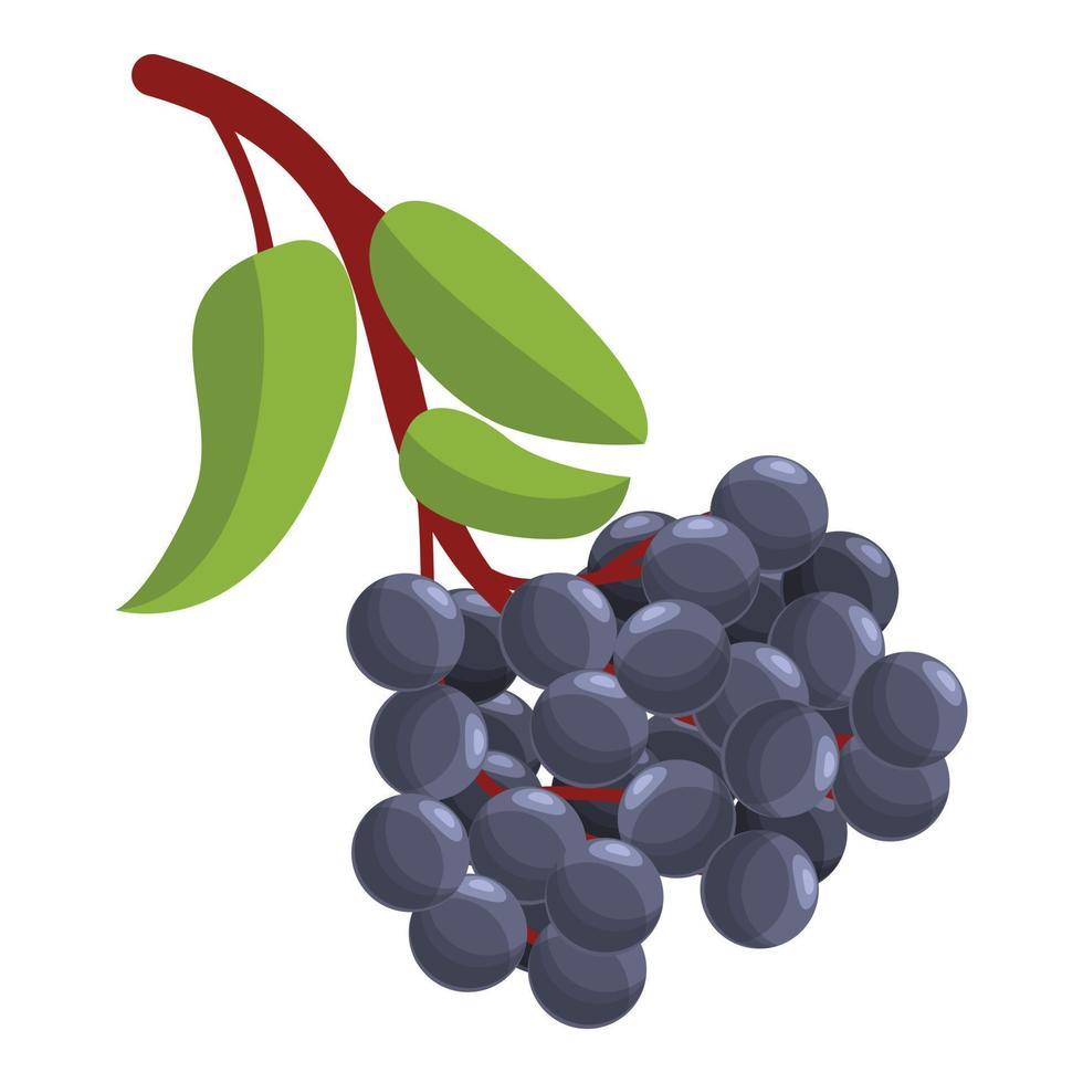 Branch elder icon, cartoon style vector