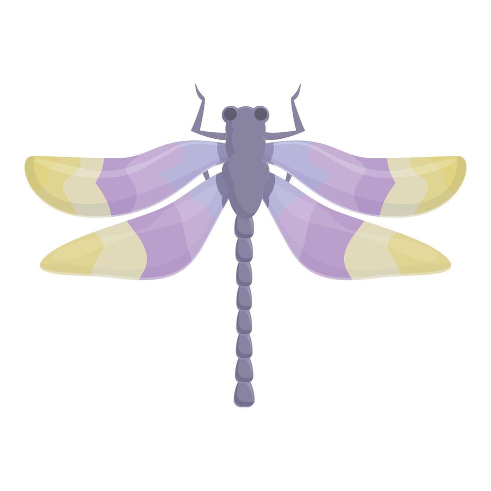 Old dragonfly icon cartoon vector. Bug insect vector