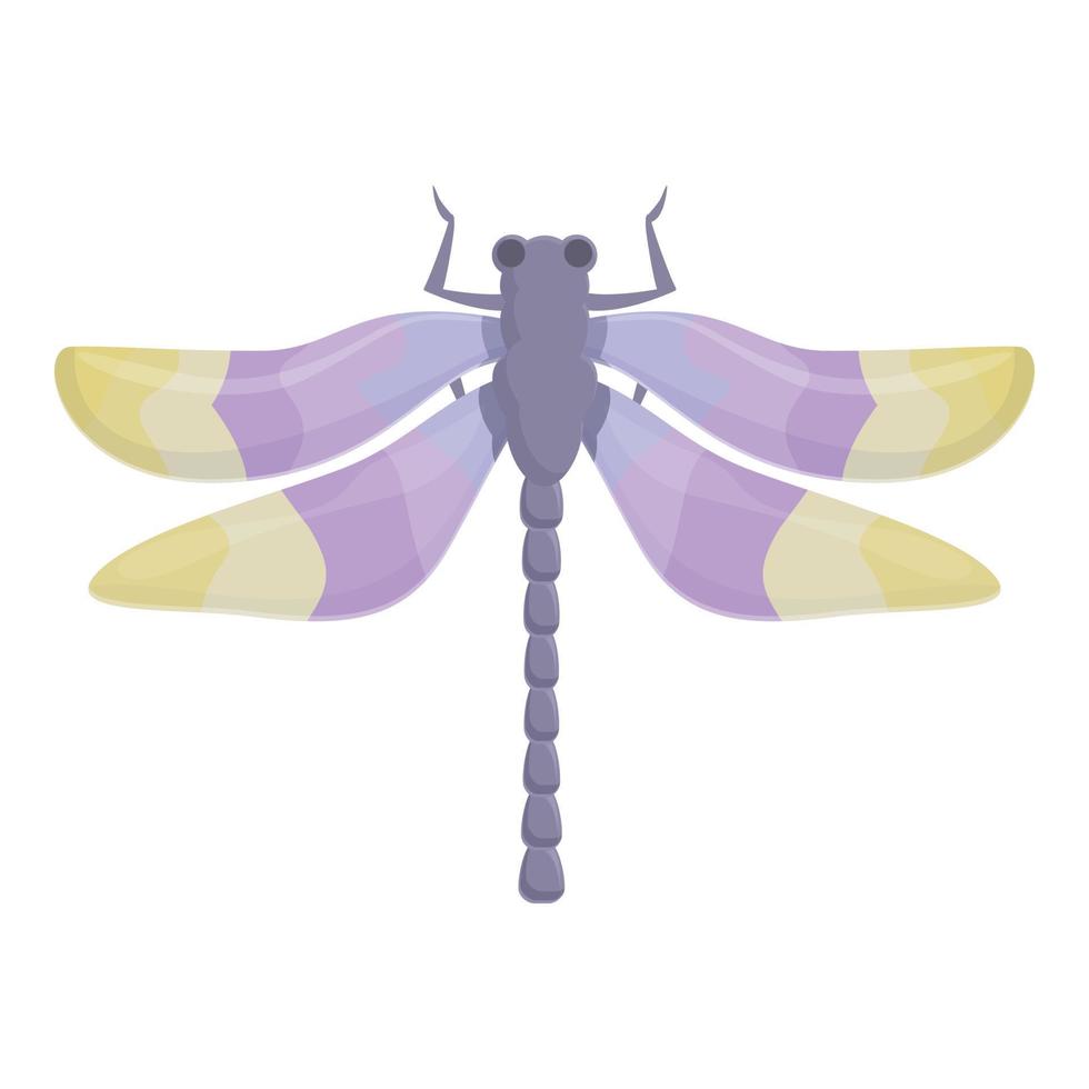 viejo vector de dibujos animados de icono de libélula. bicho insecto