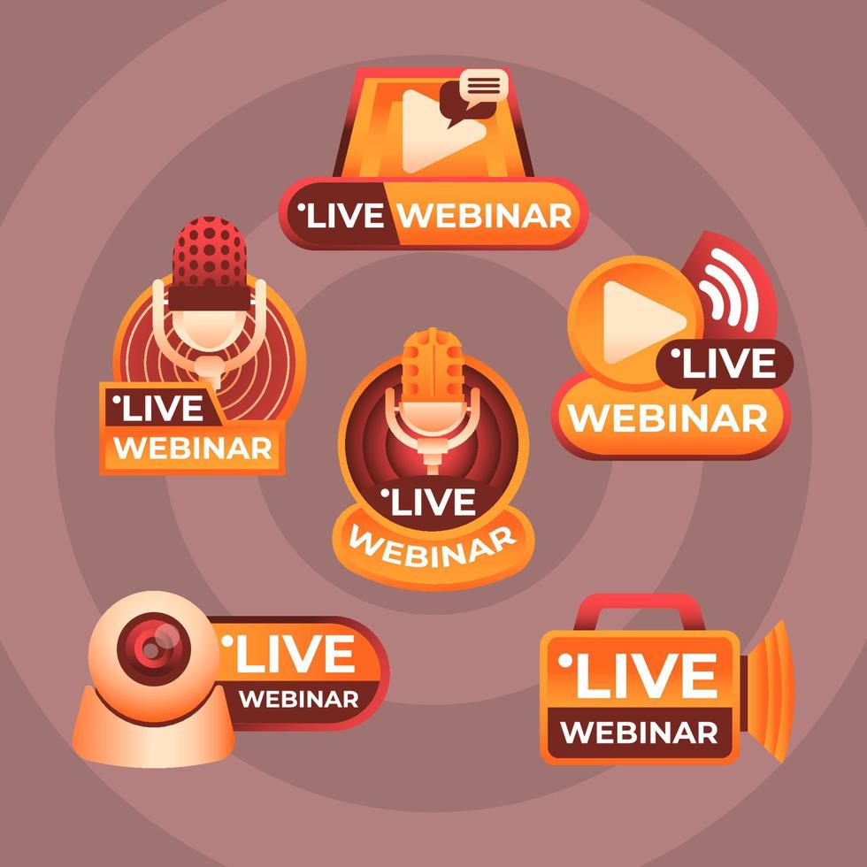 Icon Online Stream Webinar vector