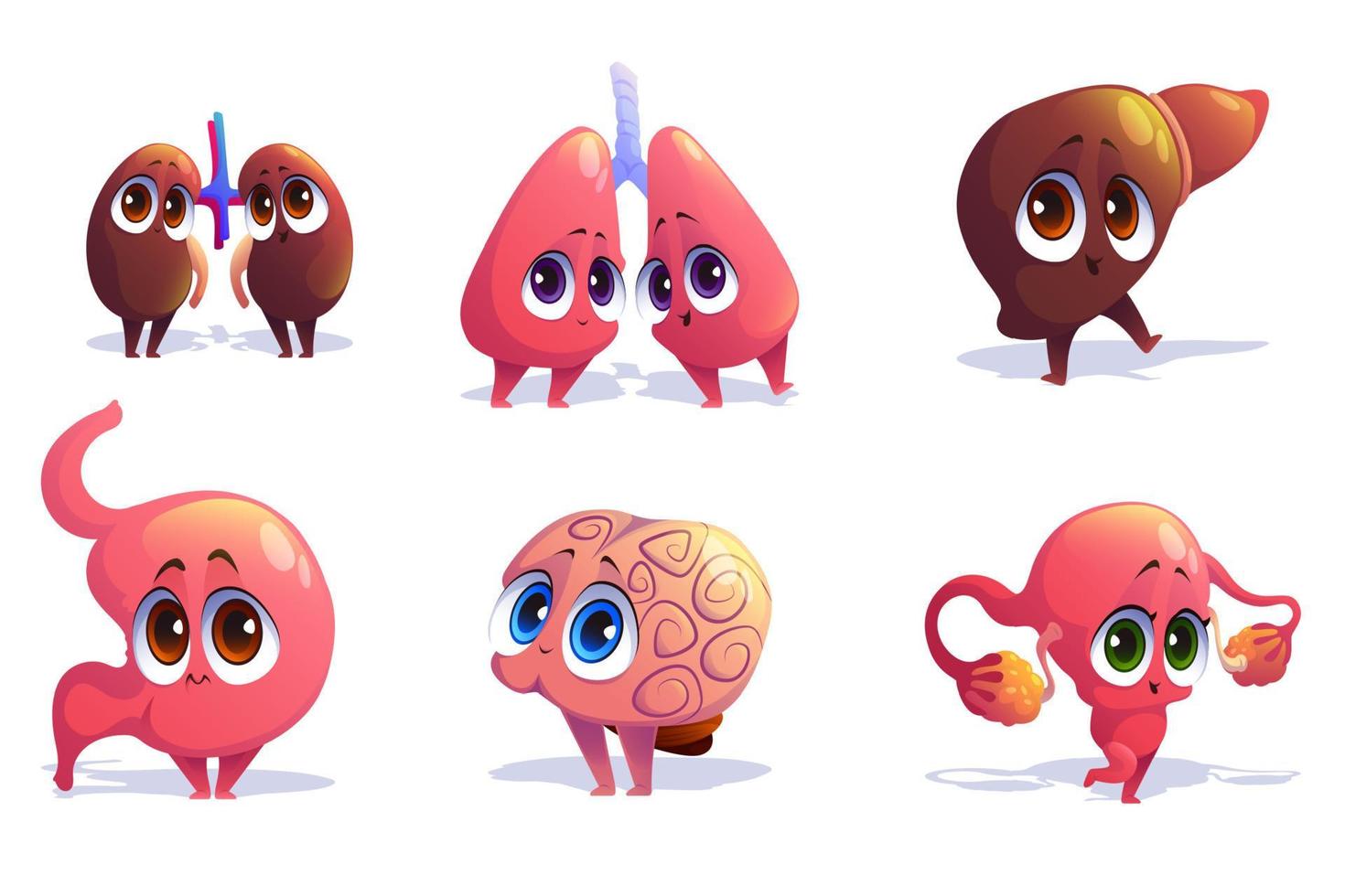 Cute characters of human internal organs vector