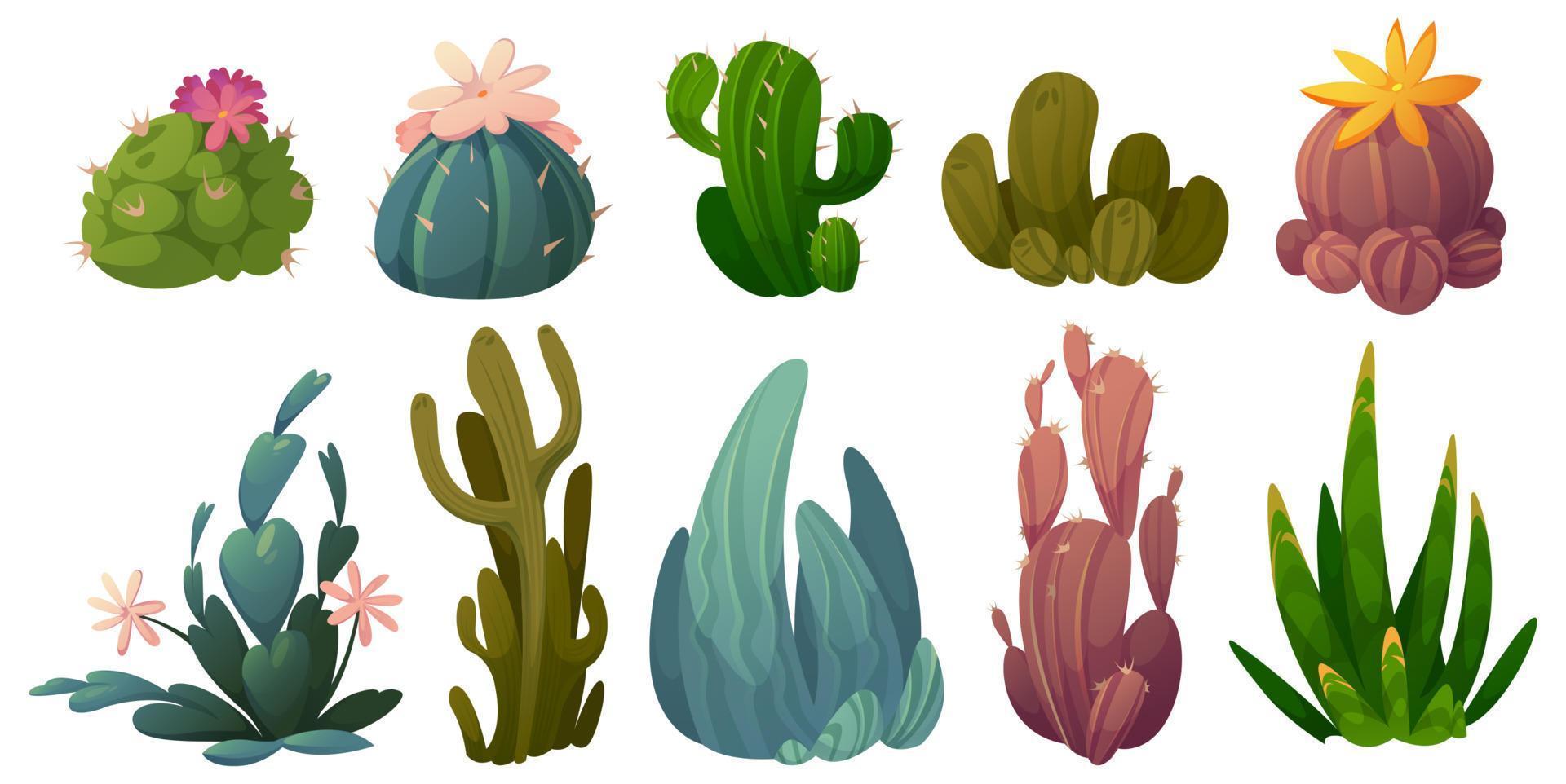 conjunto de cactus, conjunto de vectores de flores de cactus del desierto