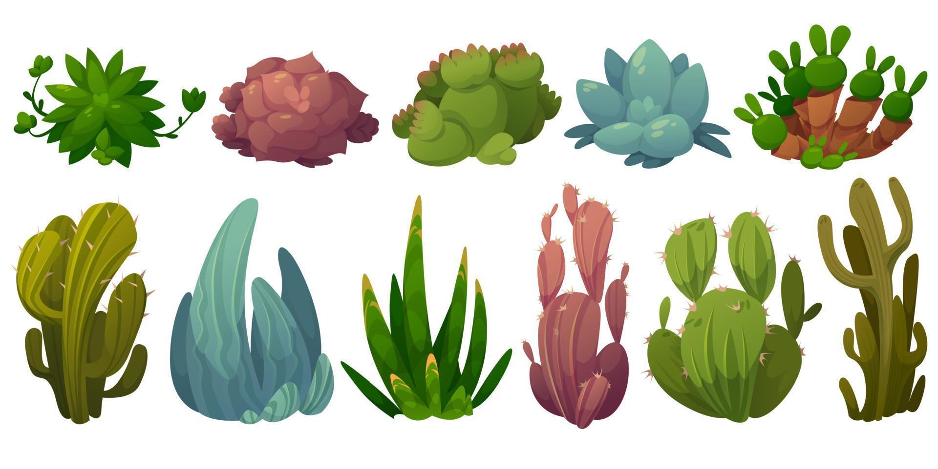 conjunto de cactus, flores del desierto opuntia, monilaria, vector