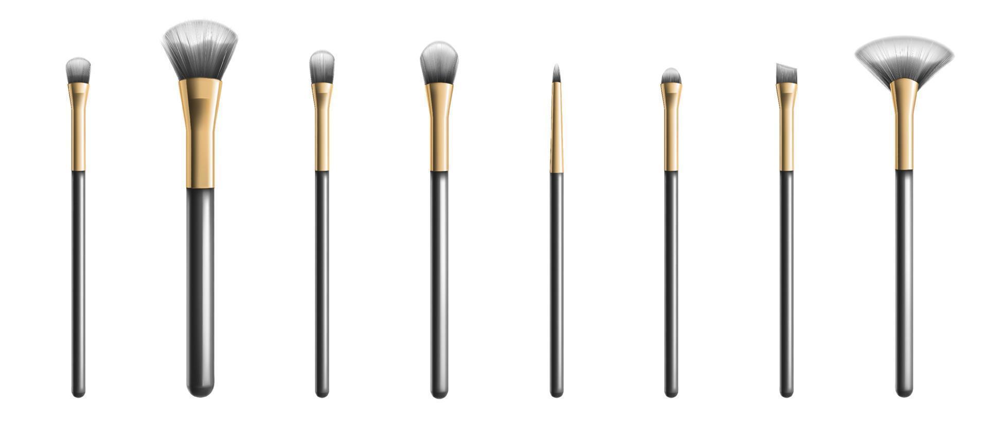 Makeup brushes, professional cosmetic tools vector