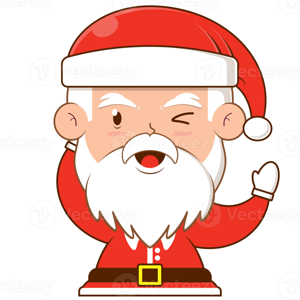 Santa Claus contento viso cartone animato carino png