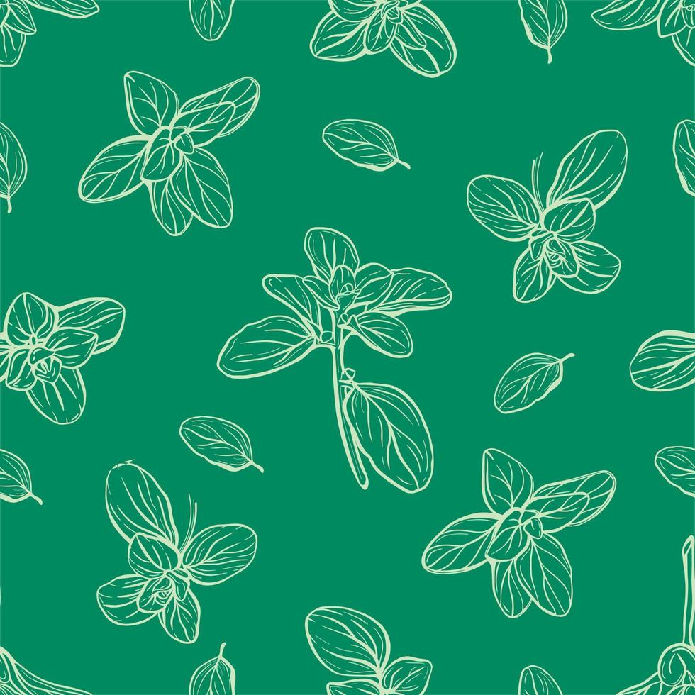 Basil Pattern. Italian herbs.A sprig of marjoram vector