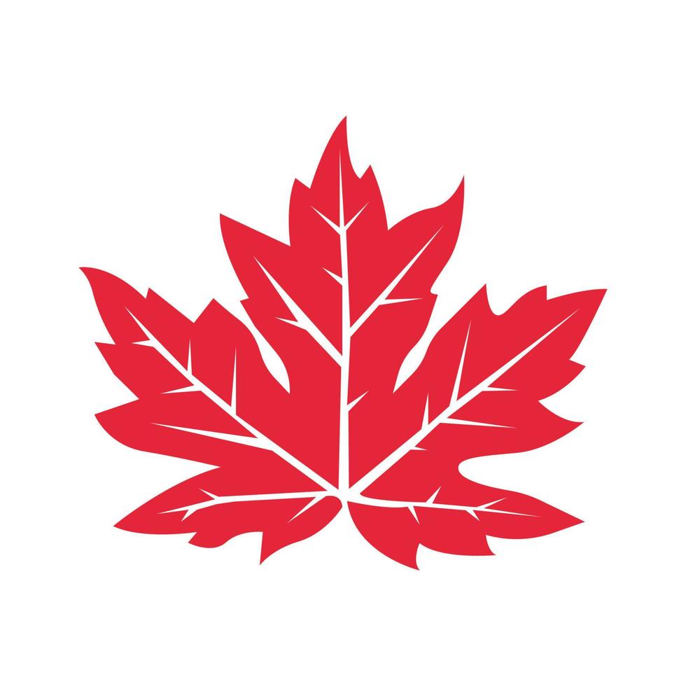 icon of a maple leaf. raster illustration, background logo template. vector