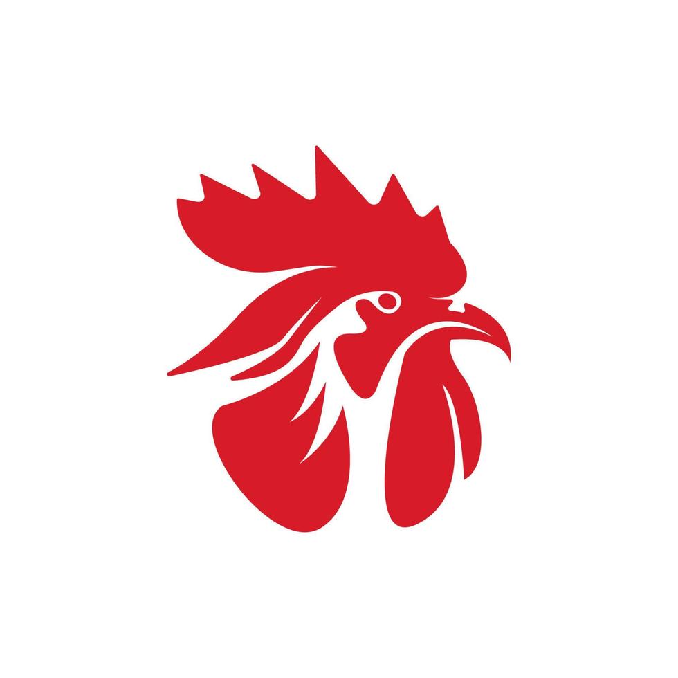 vector de plantilla de logotipo de gallo