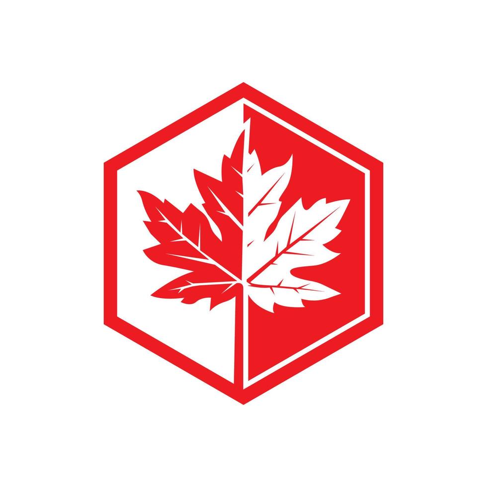 icon of a maple leaf. raster illustration, background logo template. vector