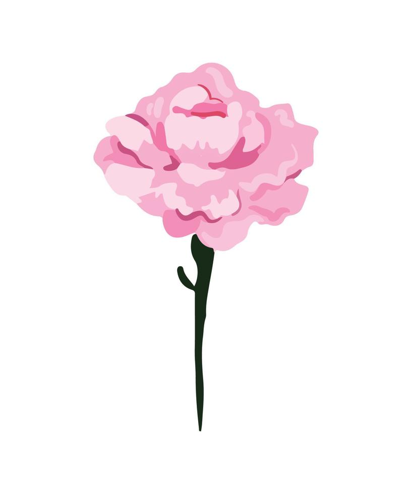 Vector illustration Flower